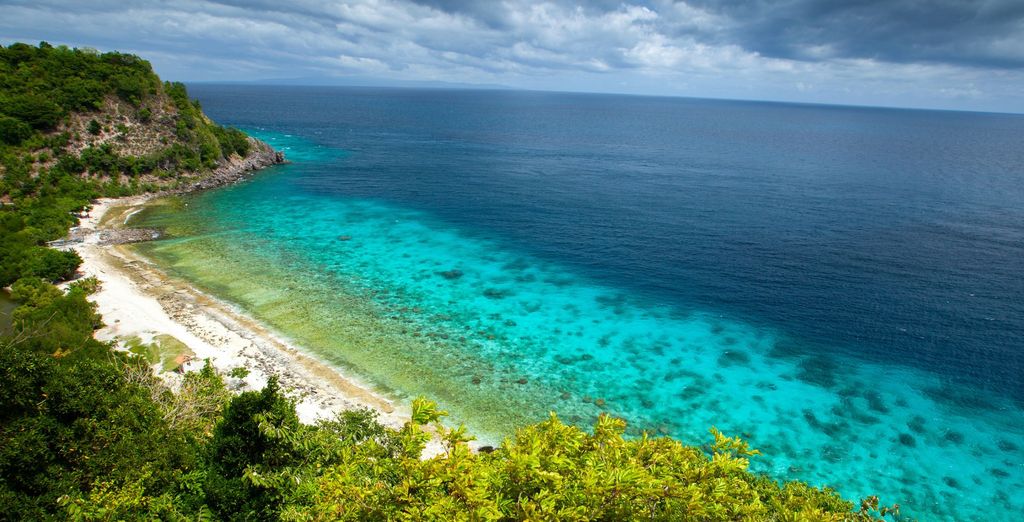 Tour privato: L'arcipelago delle Visayas tra natura e benessere