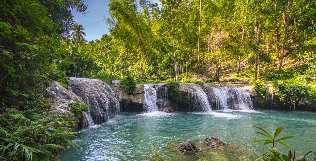 Tour privato: L'arcipelago delle Visayas tra natura e benessere