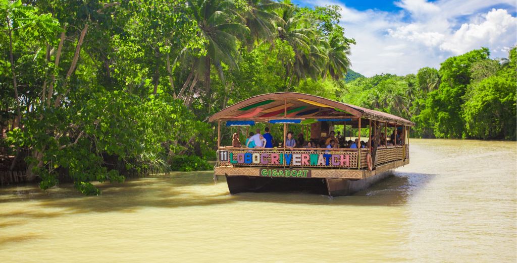 Tour privato: L'arcipelago delle Visayas tra natura e benessere