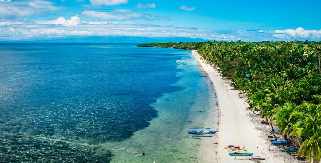 Tour privato: L'arcipelago delle Visayas tra natura e benessere