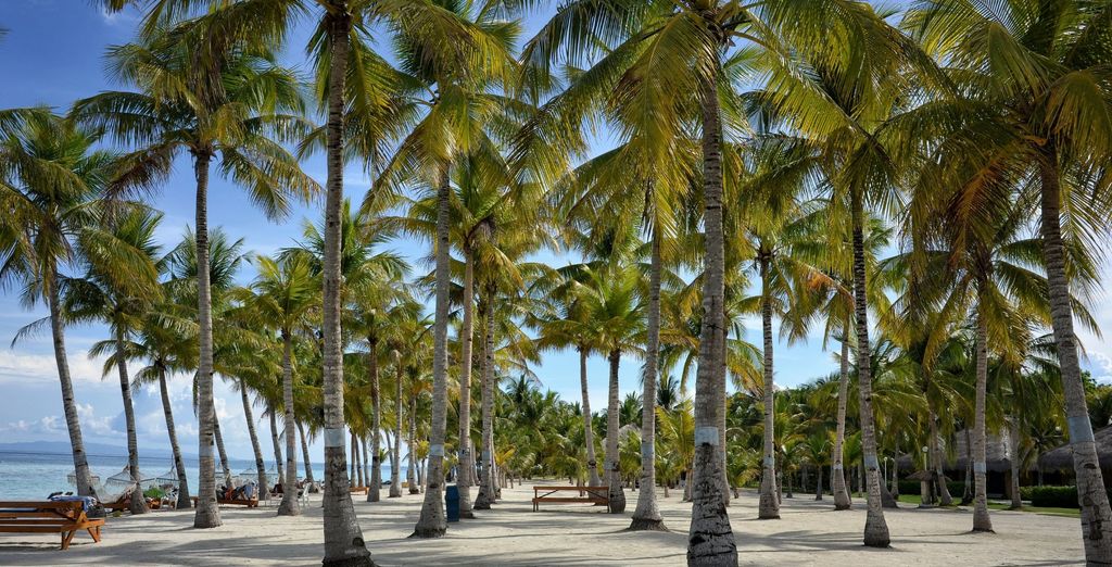 Tour privato: L'arcipelago delle Visayas tra natura e benessere
