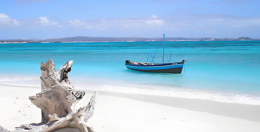 Safari Riziki con estensione all'AHG Lion Beach Resort & Spa 4*