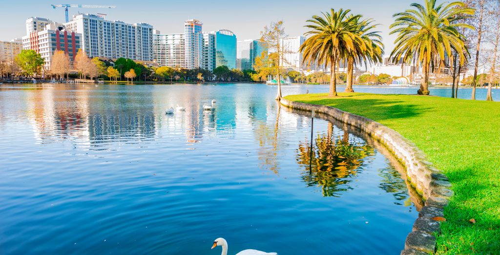 Autotour: Alla scoperta della Florida