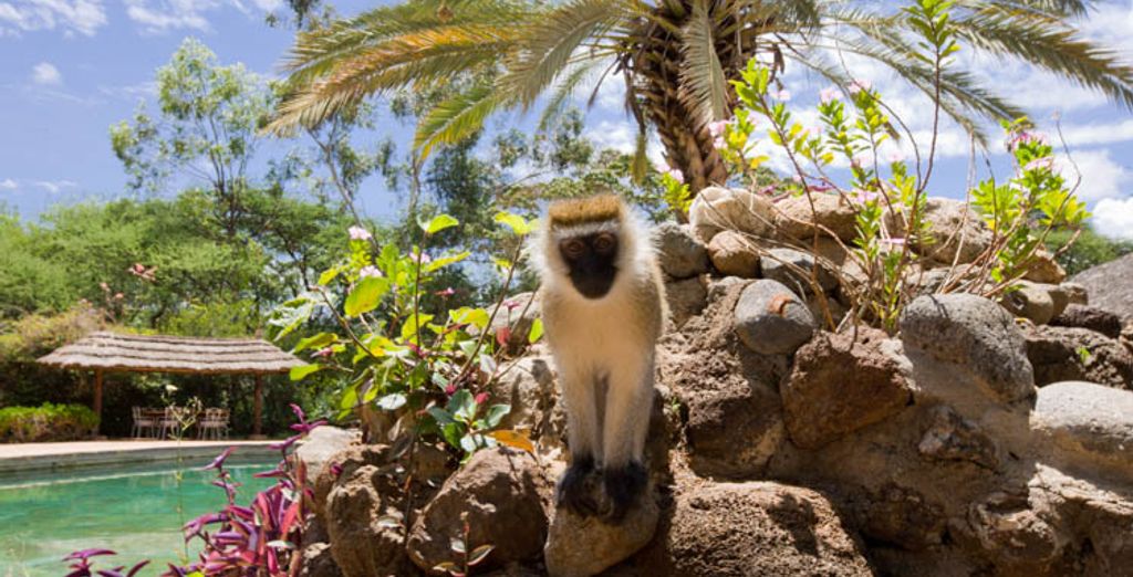 Safari Riziki con estensione all'AHG Lion Beach Resort & Spa 4*
