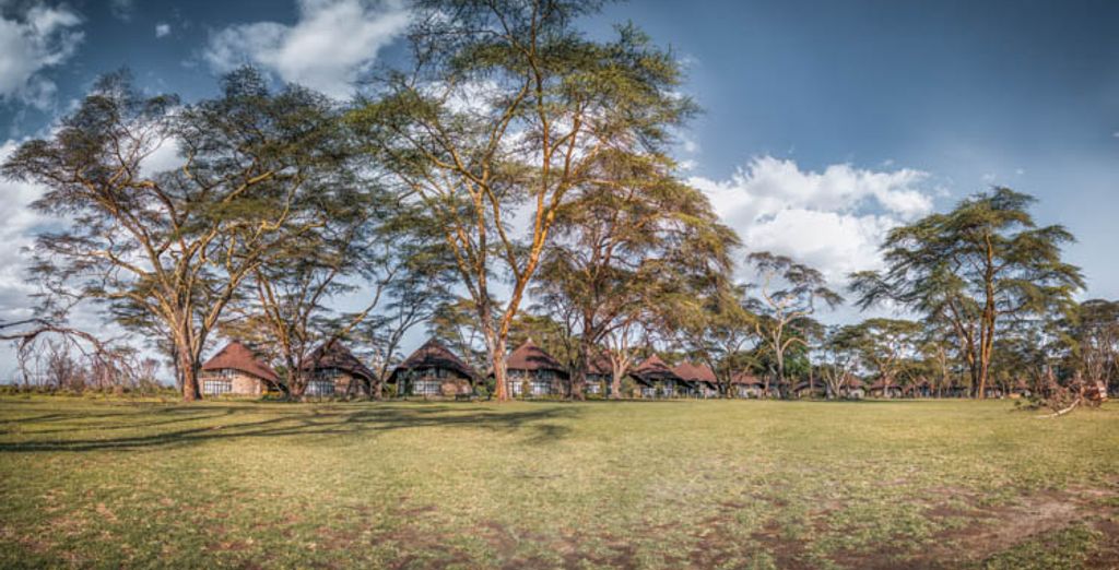 Safari Riziki con estensione all'AHG Lion Beach Resort & Spa 4*