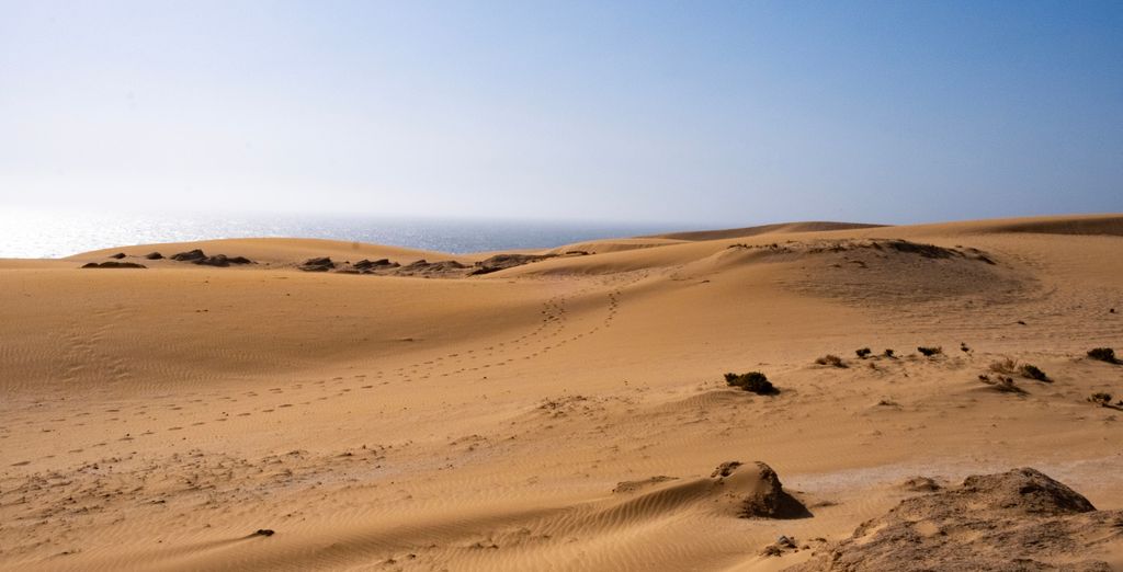 Radisson Blu Resort, Taghazout Bay Surf Village 4*  