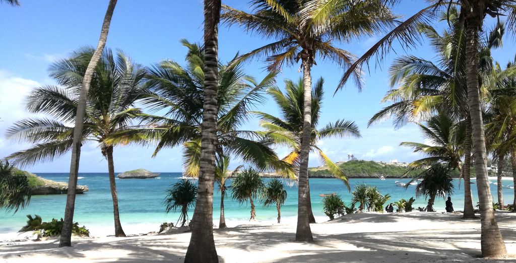 Safari in 3 o 5 notti e Sun Palm Beach Resort 4*