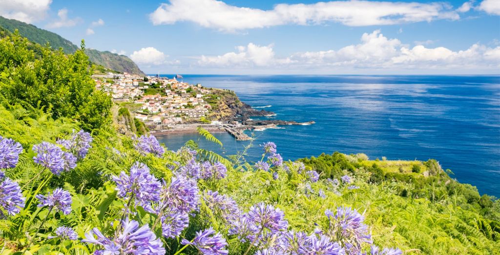 Tour di gruppo: L'eterna primavera portoghese