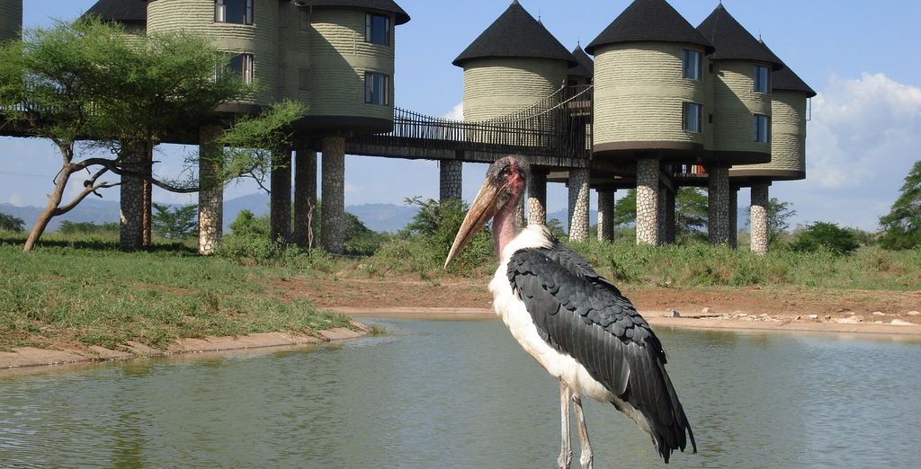 Casa Sand Lion Beach Resort & SPA 4* con possibile safari da 1 a 4 notti