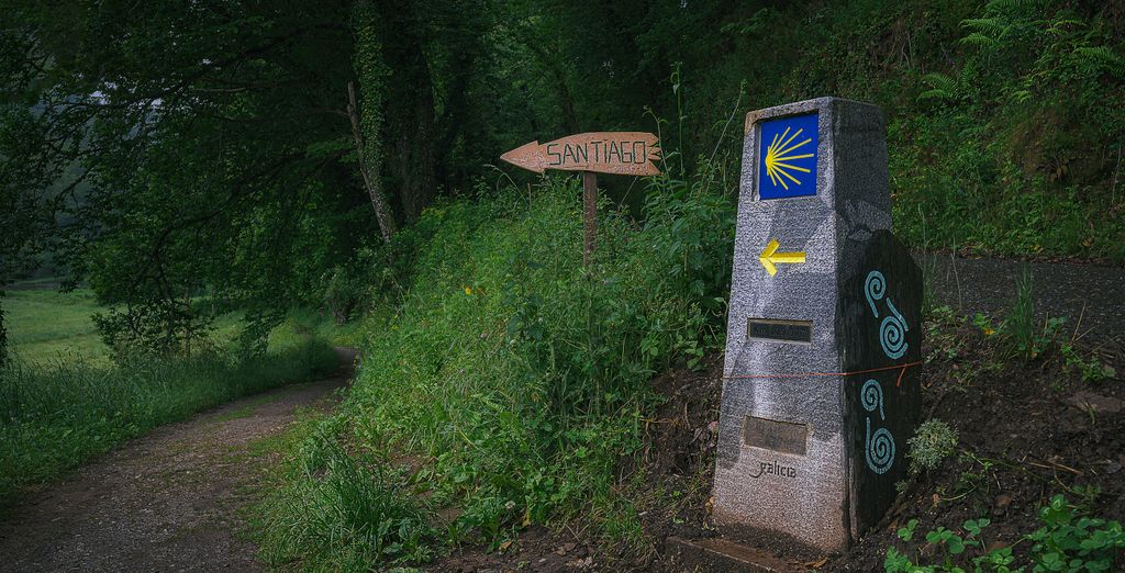 Tour a piedi: Il Cammino di Santiago