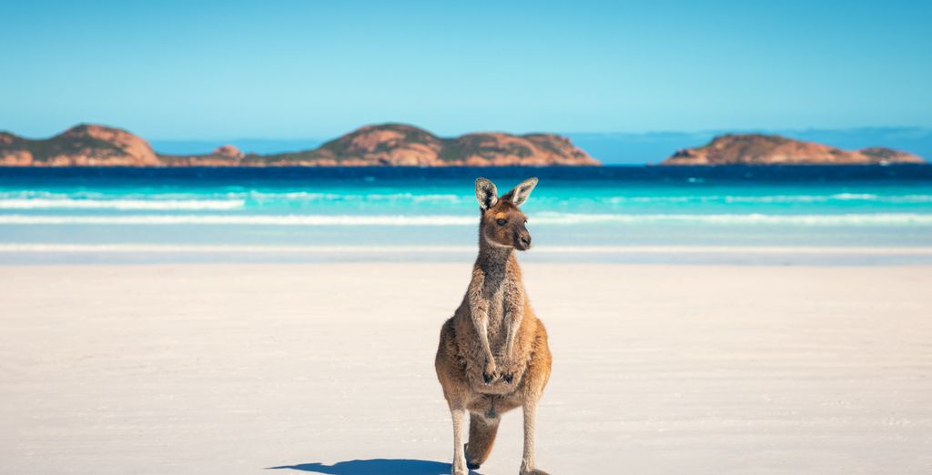 Circuits en Liberté Perth et Alentours ou Perth Melbourne et Sydney