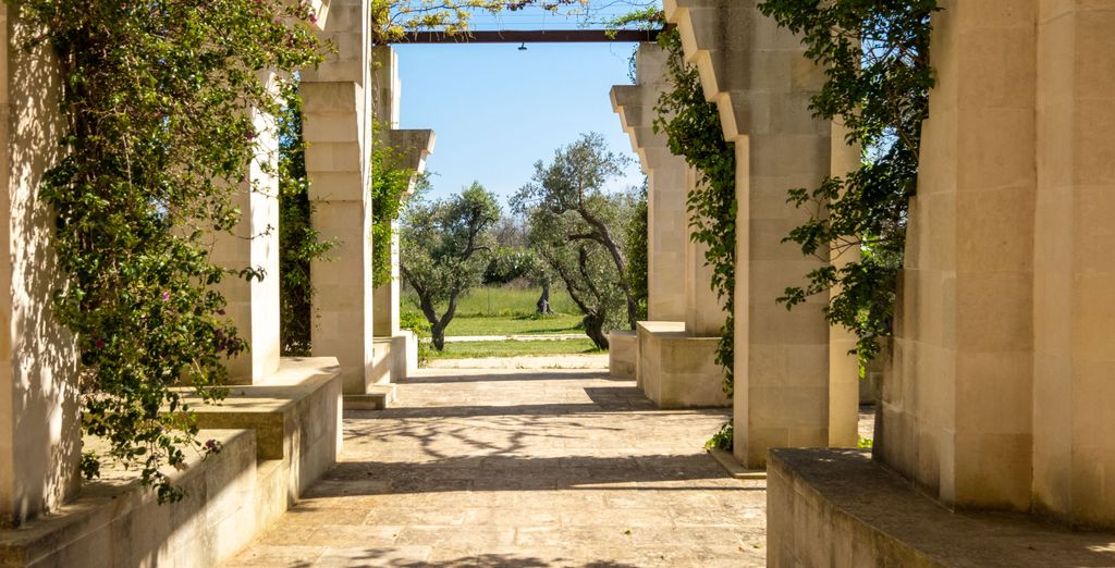 Secolario Masseria del Viverbene 4*