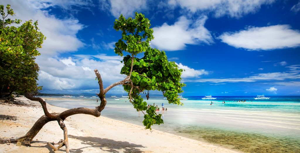 Tour privato: L'incanto delle Visayas