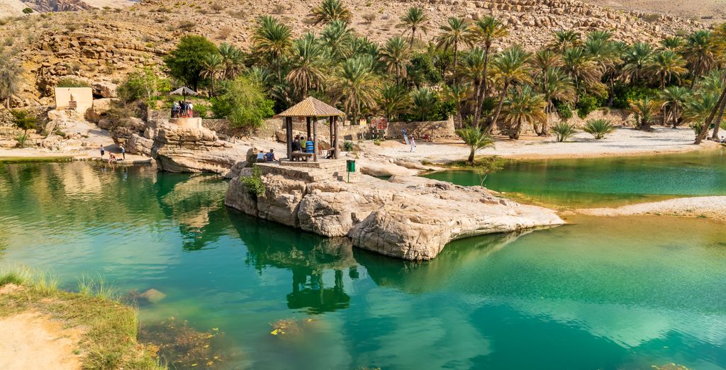 Tour privato: Alla scoperta dell'Oman e possibile estensione nella capitale
