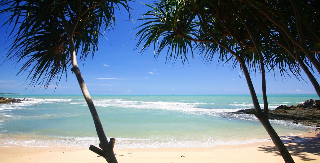 Combinato Sea Seeker Krabi Resort - SHA Extra Plus 4* e Avani+ Koh Lanta Krabi Resort 4*, con possibile pre-estensione al Lilit Bang Lumphu Hotel - Bangkok 4*