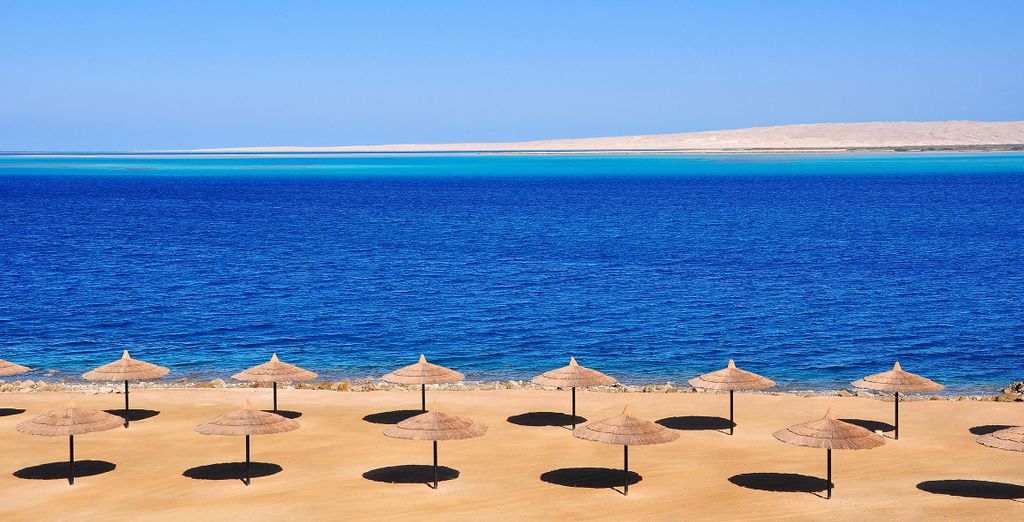 Tour di gruppo: La Valle dei Re con possibile estensione a Hurghada