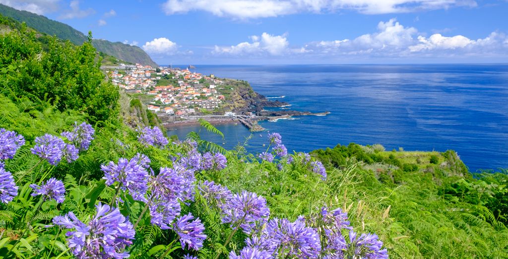 Tour di gruppo: I gioielli di Madeira