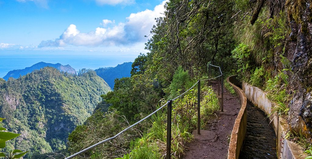 Tour di gruppo: I gioielli di Madeira
