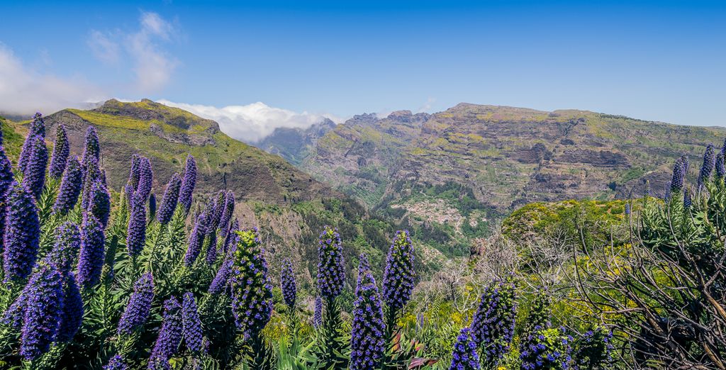 Tour di gruppo: I gioielli di Madeira