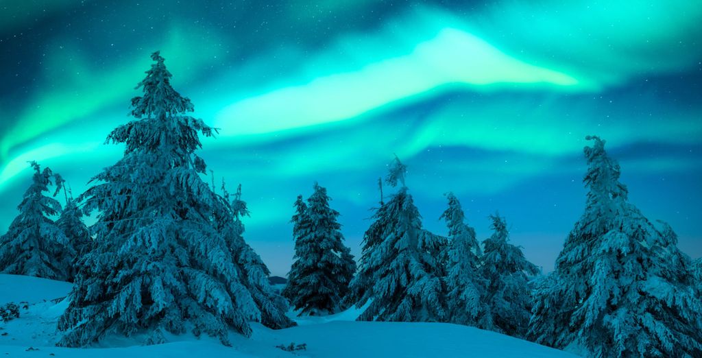 Tour in libertà: La Magia Invernale