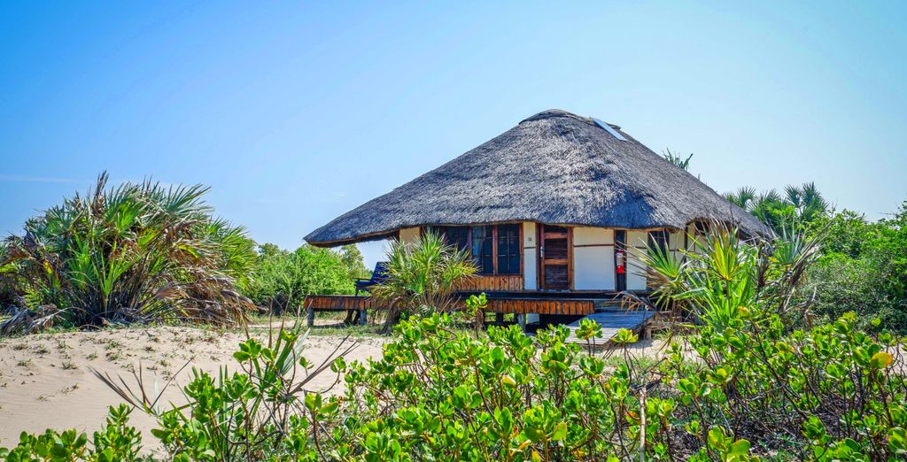 Bluebay Beach Resort & Spa 5* y Saadani Safari Lodge 4*