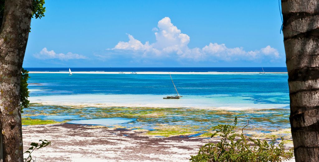 PrideInn Flamingo Beach Resort & Spa Mombasa 4* e safari nei parchi naturali