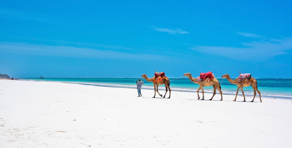 Safari con estensione al Flamingo Beach Resort & Spa Mombasa 4*