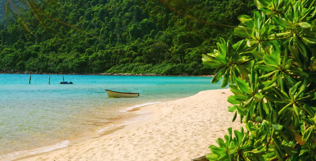 Tour privato: La bellezza del Paese con possibile estensione al mare