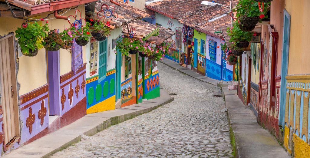 Tour de 8 noches por Colombia con preextensión opcional en Caño Cristales