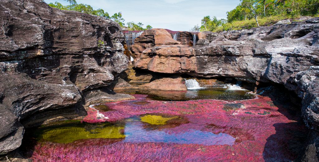 Tour de 8 noches por Colombia con preextensión opcional en Caño Cristales
