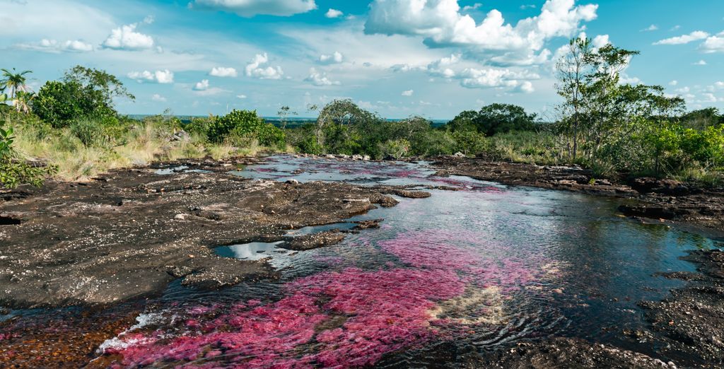 Tour de 8 noches por Colombia con preextensión opcional en Caño Cristales