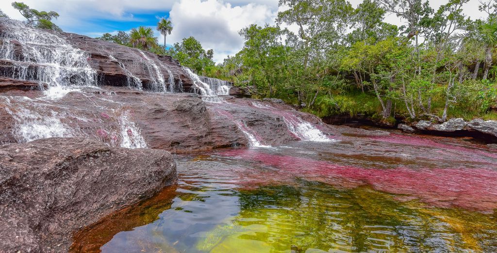 Tour de 8 noches por Colombia con preextensión opcional en Caño Cristales