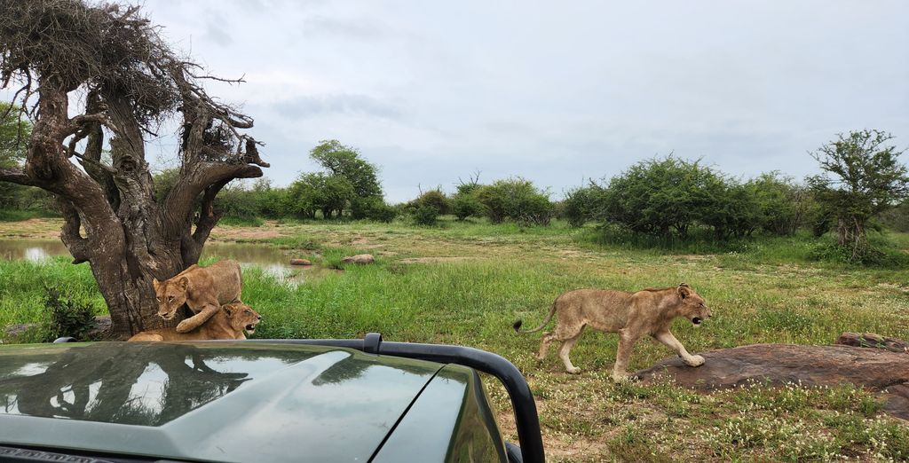 La Kruger Lifestyle Lodge 4*