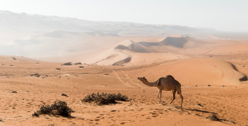 Wyndham Garden Muscat Al Khuwair 4* 