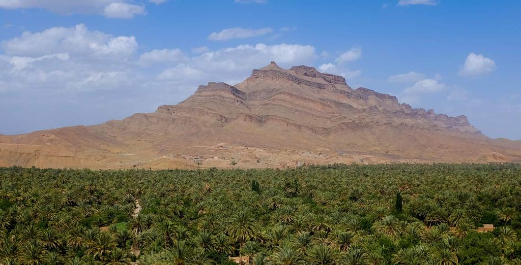 Tour di gruppo: Alla scoperta del Gran Deserto