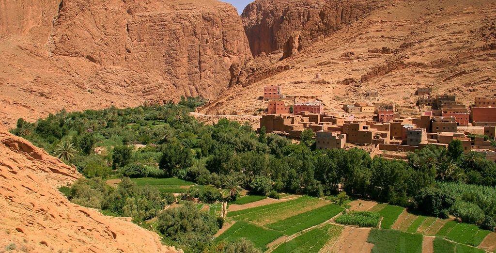 Tour di gruppo: Alla scoperta del Gran Deserto