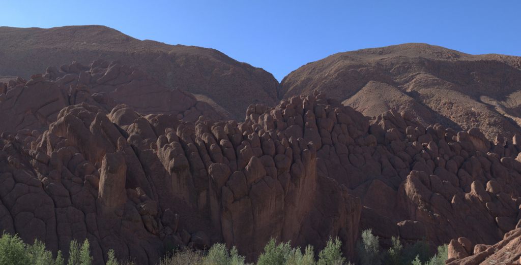 Tour di gruppo: Alla scoperta del Gran Deserto
