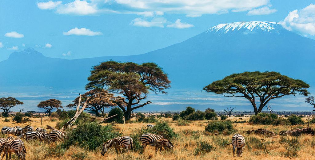 Voyager Beach Resort 4* e Kizingo Eco Lodge 4* con safari opzionale