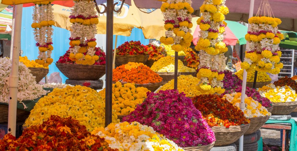Tour privato: Il meglio del Rajasthan