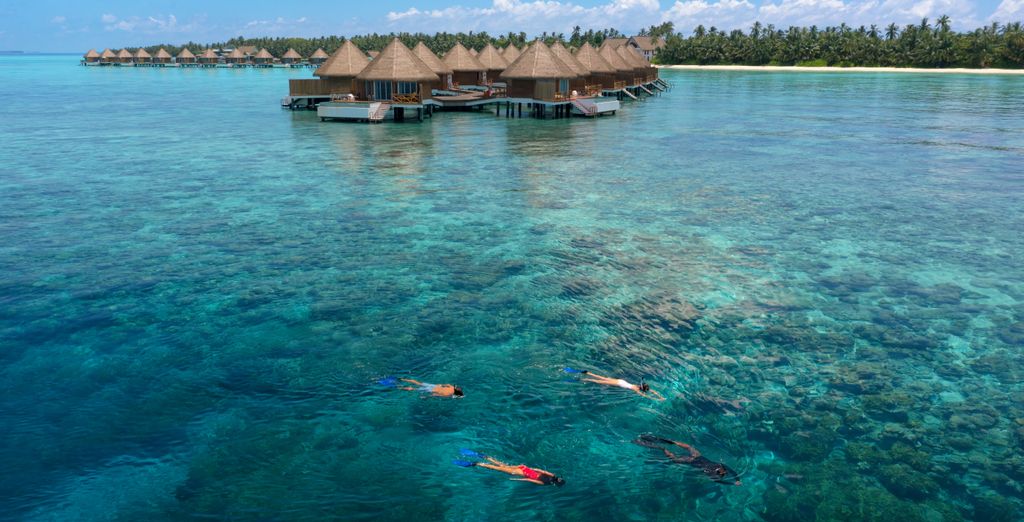 Mercure Maldives Kooddoo Resort 4* -  Adults Only