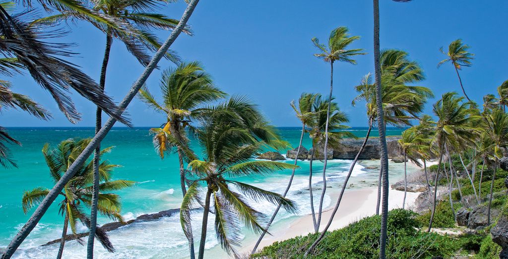 Treasure Beach by Elegant Hotels 4* - Adults Only