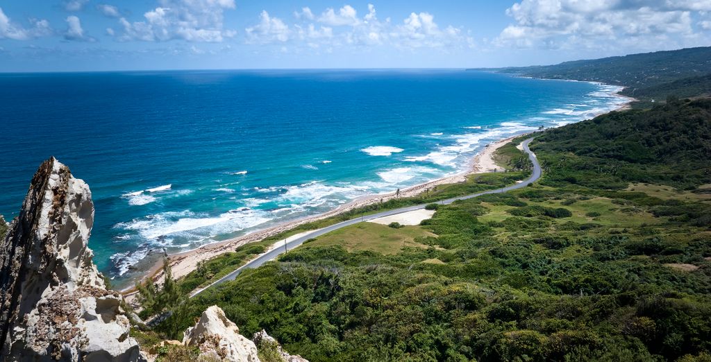 Treasure Beach by Elegant Hotels 4* - Adults Only