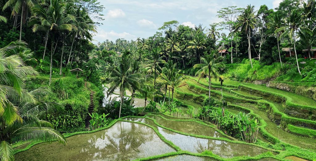 Sthala a Tribute Ubud 5*, Mahagiri Nusa Lembongan 4* & Renaissance Uluwatu 5*