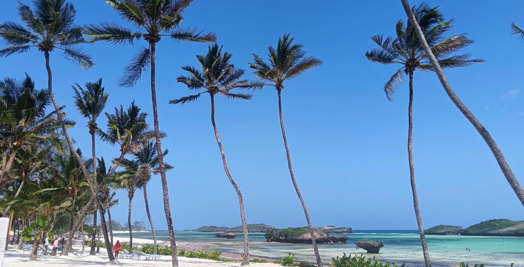 Safari in 3 o 5 notti e Sun Palm Beach Resort 4*