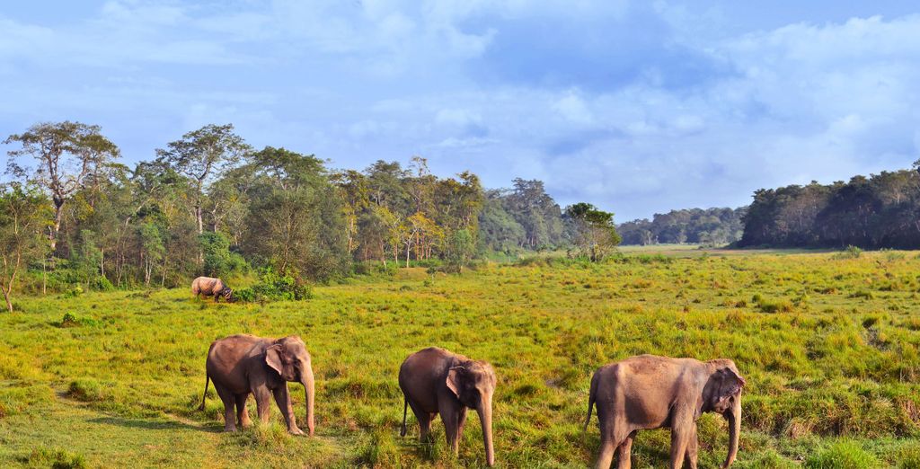 Tour privato: Cultura e natura nella Terra della Pace