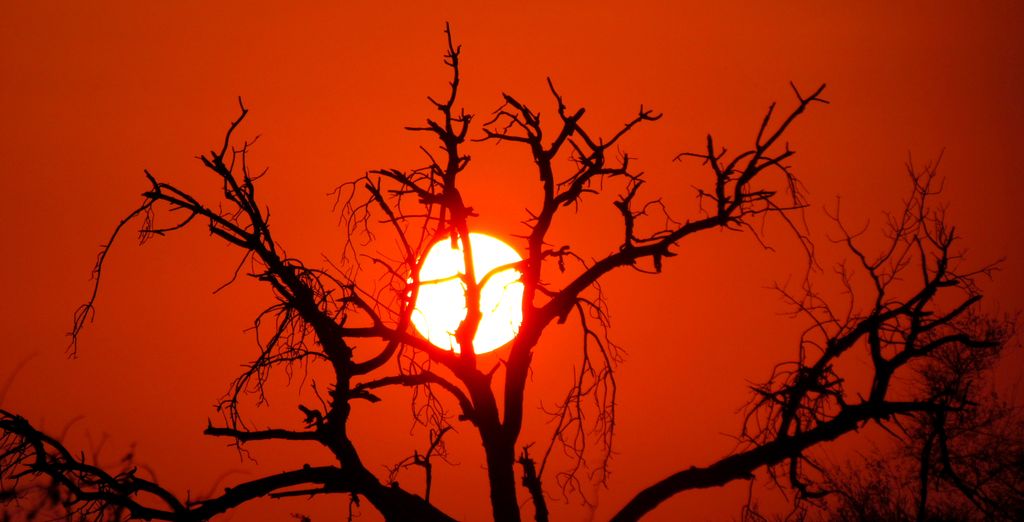 Kholiwe on Kruger Lodge 4*