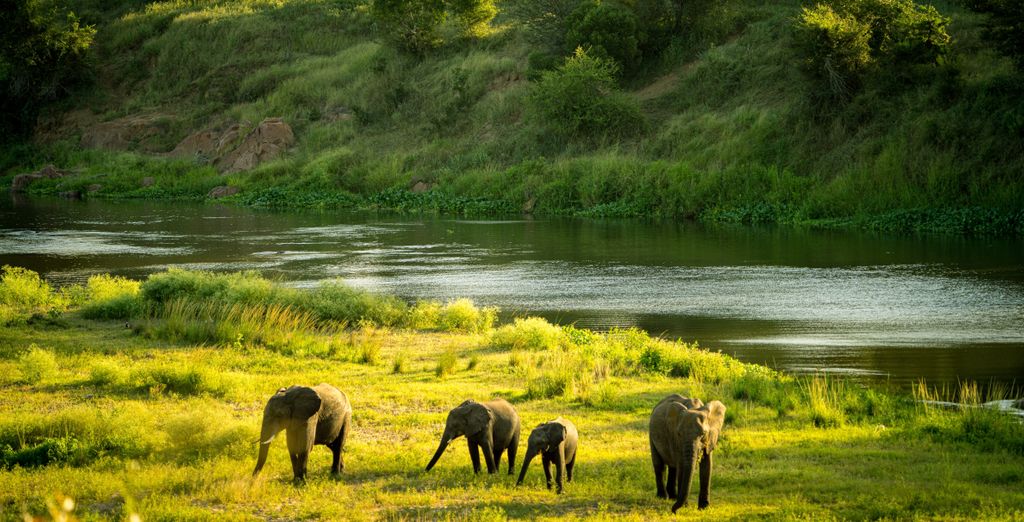 Old Bank Hotel 4* e Kholiwe On Kruger Lodge 4*