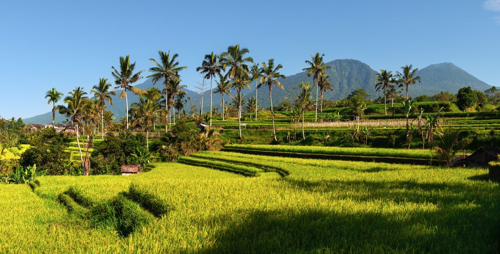The Payogan Villa Resort & Spa 4*, Anema Wellness & Resort Gili Lombok 5* e The Leaf Jimbaran Luxury Villas 5*