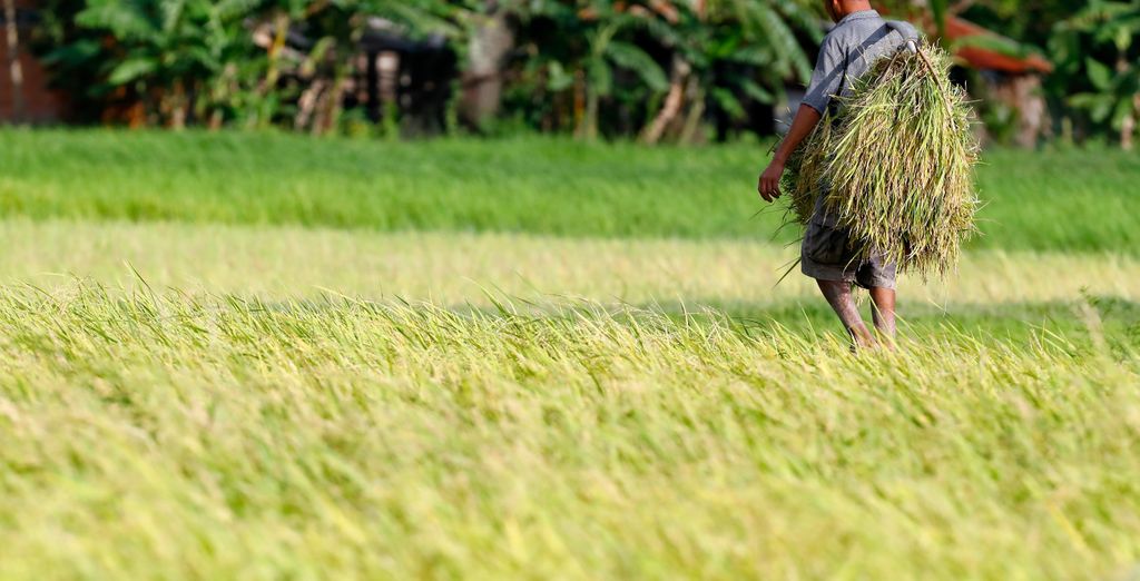 Tour privato: I tesori segreti della Cambogia