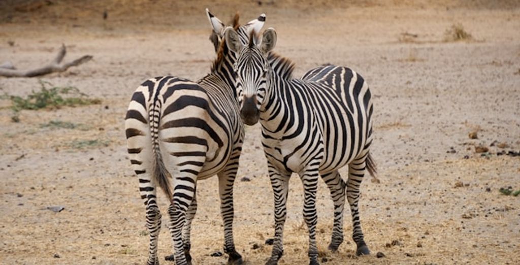 Safari nella natura ed estensione al Filao Beach By Sansi 4*